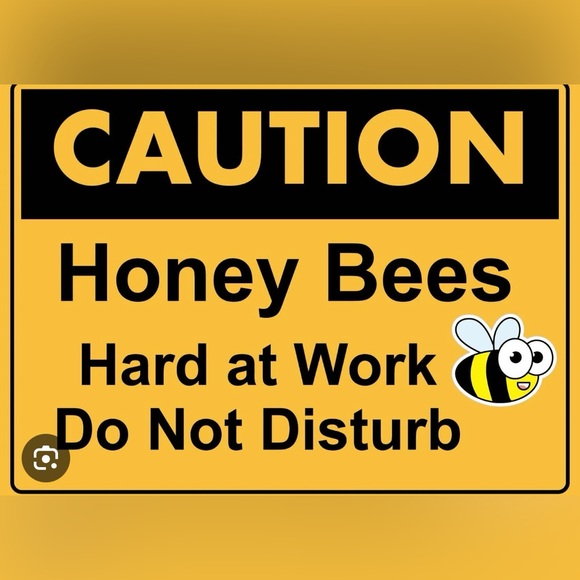 Like this listing 💕🙏🐝 - Picture 2 of 4